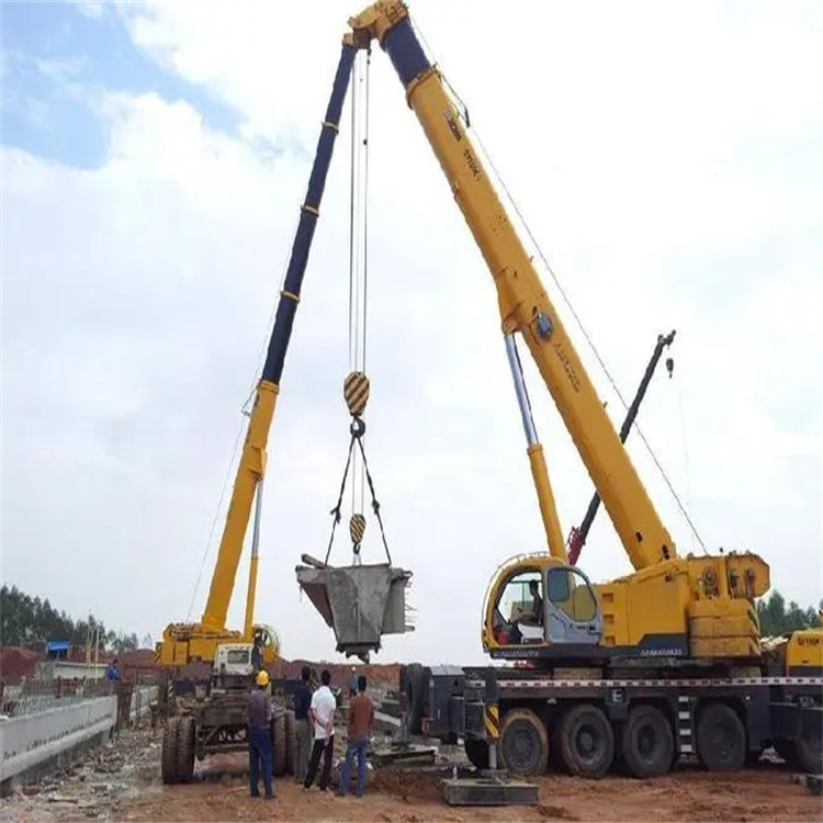 新政镇小型吊机出租电话|厂房设备吊装方案|24小时服务覆盖