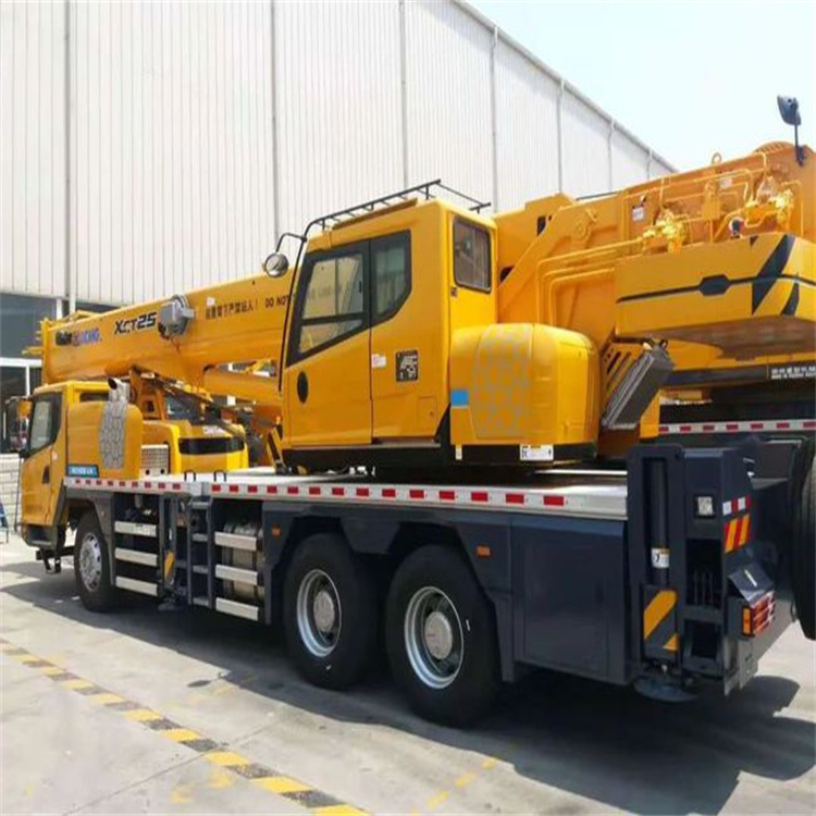 新政镇哪里有租赁吊车的